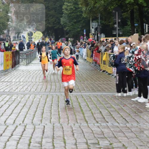 13.09.2026 - Kiel Lauf Yannick Fuchs http://msf.ph/oto/10408585 13.09.2026 09:03:59 Ziel 2193, 1268, 4445, 6191, 7990, 8613, 10123, 11931, 2528, 5854, 6644, 7020, 7564, 8613, 8616, 8789, 8924 meine-sportfotos.de