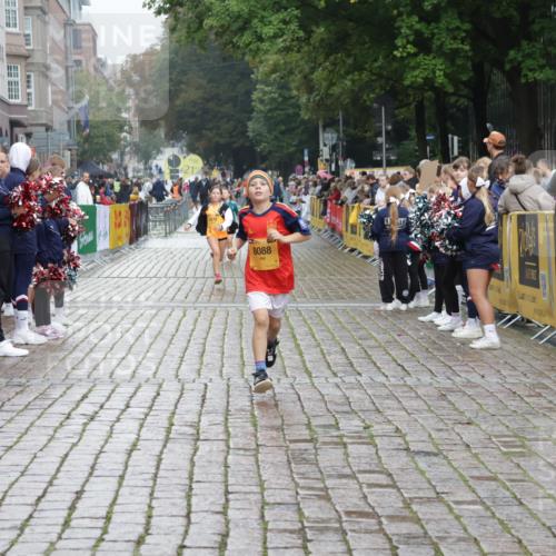 13.09.2026 - Kiel Lauf Yannick Fuchs http://msf.ph/oto/10408595 13.09.2026 09:04:01 Ziel 2193, 1268, 4445, 6191, 7990, 10123, 11931, 8088, 2528, 5854, 6644, 7564, 8613, 8616, 8789, 11931 meine-sportfotos.de