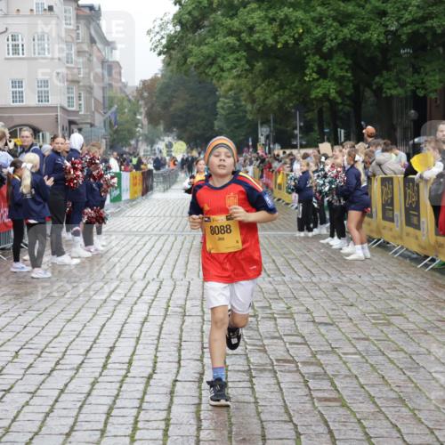 13.09.2026 - Kiel Lauf Yannick Fuchs http://msf.ph/oto/10408599 13.09.2026 09:04:03 Ziel 2193, 1268, 4445, 6191, 7990, 10123, 11931, 2670, 8088, 2528, 5854, 6644, 7564, 8613, 8616, 11931 meine-sportfotos.de