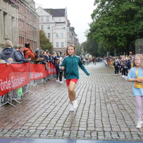 13.09.2026 - Kiel Lauf Yannick Fuchs http://msf.ph/oto/10408638 13.09.2026 09:04:13 Ziel 2193, 2193, 7990, 10123, 2670, 8088, 8583, 1268, 4445, 6191 meine-sportfotos.de