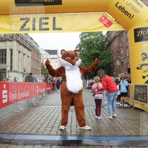 13.09.2026 - Kiel Lauf Yannick Fuchs http://msf.ph/oto/10408693 13.09.2026 09:04:53 Ziel 7068, 2670, 8088, 8583, 8088 meine-sportfotos.de