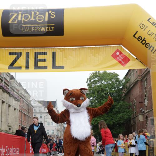 13.09.2026 - Kiel Lauf Yannick Fuchs http://msf.ph/oto/10408725 13.09.2026 09:04:59 Ziel 7068, 8583, 1968, 2670, 8088 meine-sportfotos.de