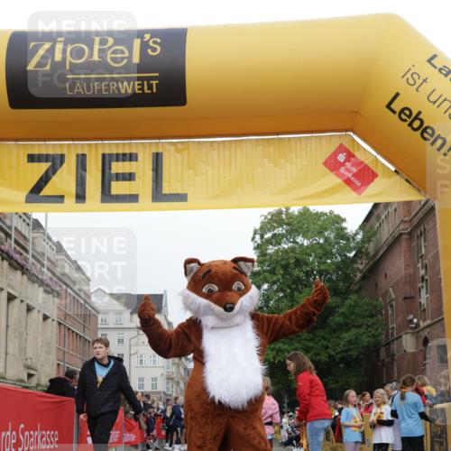 13.09.2026 - Kiel Lauf Yannick Fuchs http://msf.ph/oto/10408729 13.09.2026 09:04:59 Ziel 7068, 8583, 1968, 2670, 8088 meine-sportfotos.de