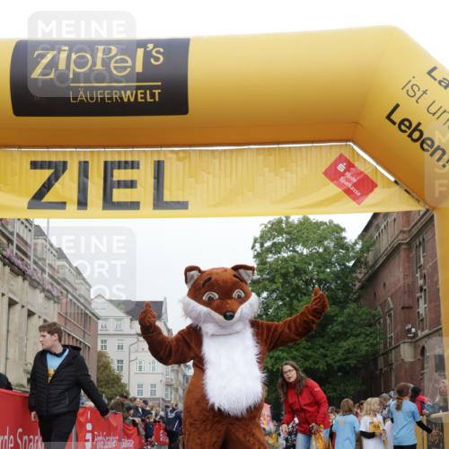 13.09.2026 - Kiel Lauf Yannick Fuchs http://msf.ph/oto/10408746 13.09.2026 09:05:00 Ziel 7068, 8583, 1968, 2670, 8088 meine-sportfotos.de