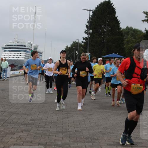13.09.2026 - Kiel Lauf Andreas Tolksdorf http://msf.ph/oto/10409586 13.09.2026 10:01:00 Kiellinie 8813, 12759, 1443, 11308 meine-sportfotos.de