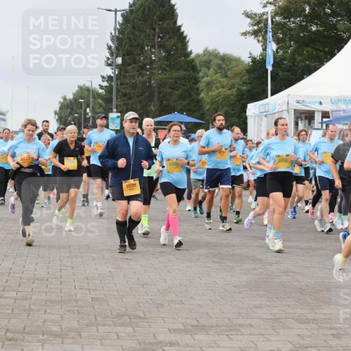 13.09.2026 - Kiel Lauf Andreas Tolksdorf http://msf.ph/oto/10411286 13.09.2026 10:02:00 Kiellinie 84, 6831, 1698, 9486, 4701, 970, 5260 meine-sportfotos.de
