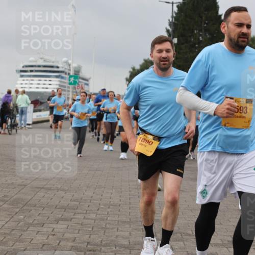 13.09.2026 - Kiel Lauf Andreas Tolksdorf http://msf.ph/oto/10412859 13.09.2026 10:03:23 Kiellinie 1890, 4, 38, 593, 5601 meine-sportfotos.de