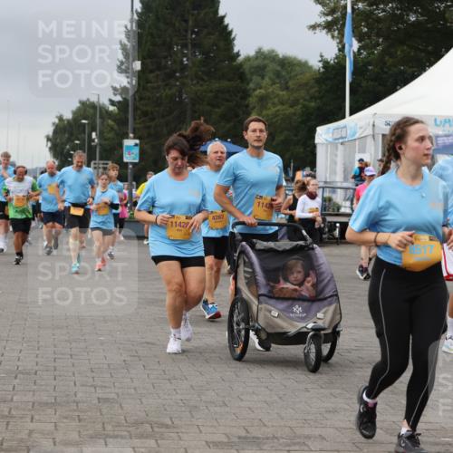 13.09.2026 - Kiel Lauf Andreas Tolksdorf http://msf.ph/oto/10414665 13.09.2026 10:05:40 Kiellinie 84, 11210, 11428, 4262, 11429, 39, 8517, 39, 3401 meine-sportfotos.de