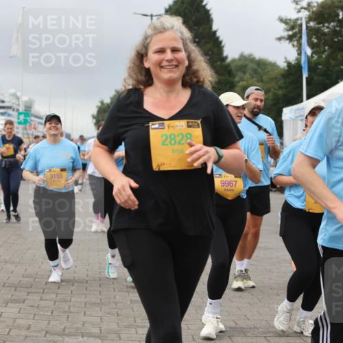 13.09.2026 - Kiel Lauf Andreas Tolksdorf http://msf.ph/oto/10415232 13.09.2026 10:06:18 Kiellinie 3155, 38, 2828, 9967, 38, 7516 meine-sportfotos.de