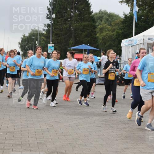 13.09.2026 - Kiel Lauf Andreas Tolksdorf http://msf.ph/oto/10415795 13.09.2026 10:06:50 Kiellinie 1338, 6237, 2250, 2070, 6806, 1339, 10432, 9729, 699, 12273 meine-sportfotos.de