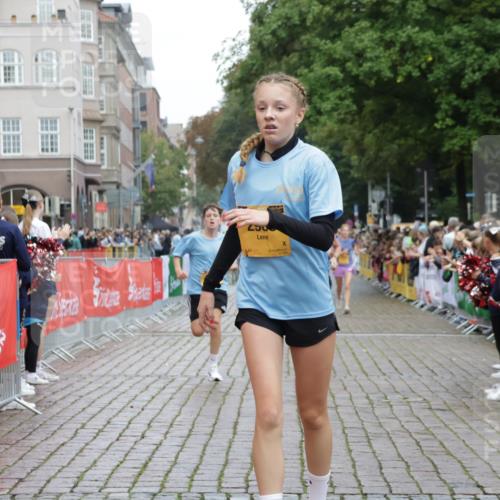 13.09.2026 - Kiel Lauf Yannick Fuchs http://msf.ph/oto/10417092 13.09.2026 09:38:20 Ziel 152, 1487, 1946, 2480, 2903, 3315, 6277, 11351, 235, 836, 2221, 2408, 2638, 2854, 4089, 4790, 5242, 5534, 5930, 7459, 7723, 8702, 10444, 10690, 12613, 1806, 3344, 3814, 4043, 4518, 4975, 6989, 9825, 2057, 2720, 4252, 4790, 9518 meine-sportfotos.de