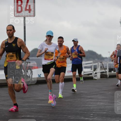 13.09.2026 - Kiel Lauf Andreas Tolksdorf http://msf.ph/oto/10417315 13.09.2026 10:56:23 Kiellinie 38, 9390, 17, 4, 1, 39, 12078, 10160, 3398 meine-sportfotos.de