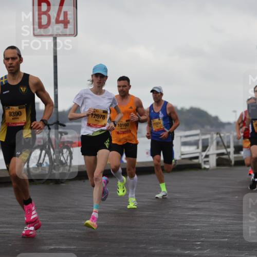 13.09.2026 - Kiel Lauf Andreas Tolksdorf http://msf.ph/oto/10417324 13.09.2026 10:56:23 Kiellinie 4, 39, 9390, 38, 12078, 10160, 11504, 3398 meine-sportfotos.de