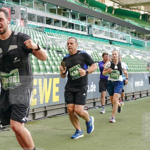 13.09.2026 - 21. swb-Marathon Bremen Michael Burmester http://msf.ph/oto/10419089 13.09.2026 13:20:53 Laufen im Stadion 423, 441, 464, 601, 620, 704, 782, 1060, 1066, 1094, 1129, 1156, 1158, 1177, 1316, 1409, 1439, 1446, 1518, 1676, 1697, 1756, 1808, 1815, 1846, 1916, 2010, 2028, 2064, 2139, 2201, 2258, 2278, 2315, 2349, 2394, 2395, 2414, 2417, 2437, 2501, 2519, 2533, 2551, 2588, 2626, 2694, 2695, 2702, 2722, 2736, 2756, 2793, 2828, 2886, 2954, 2995, 3004, 3010, 3017, 3018, 3022, 3035, 3036, 3037, 3059, 3070, 3074, 3102, 3116, 3139, 3144, 3243, 3263, 3264, 3310, 3315 meine-sportfotos.de