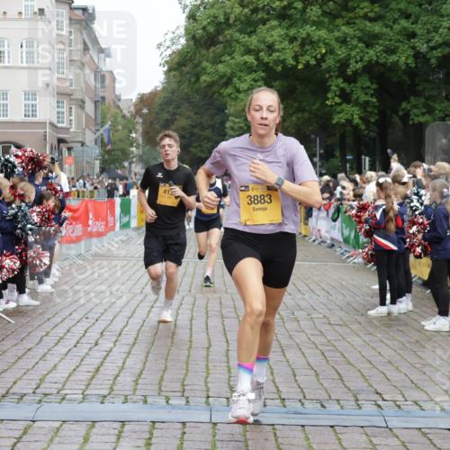 13.09.2026 - Kiel Lauf Yannick Fuchs http://msf.ph/oto/10419495 13.09.2026 09:41:05 Ziel 1593, 1787, 3883, 4137, 5039, 8389, 9608, 10202, 420, 1081, 1630, 2847, 3552, 5039, 6299, 6563, 7131, 7239, 7730, 8493, 8636, 9578, 9726, 10353, 11750, 11792, 12225, 1671, 1966, 4068, 9110, 10299, 10974, 11645, 11983, 12166, 1081, 2695, 2847, 3694, 7239 meine-sportfotos.de