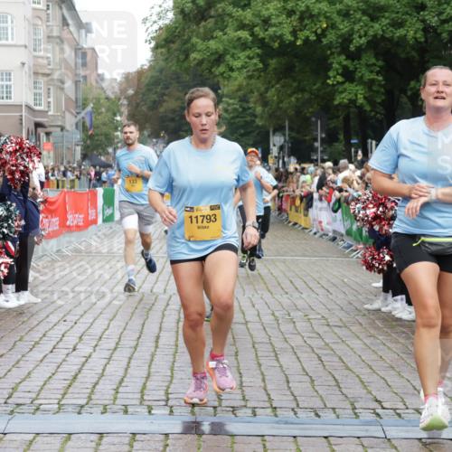 13.09.2026 - Kiel Lauf Yannick Fuchs http://msf.ph/oto/10420399 13.09.2026 09:42:19 Ziel 133, 792, 2914, 2955, 2977, 3357, 3676, 5105, 5336, 5774, 6620, 6797, 7687, 8476, 10938, 11793, 12723, 402, 570, 699, 772, 792, 2910, 3143, 3801, 4533, 5011, 5107, 5276, 6599, 6739, 7238, 8829, 9050, 12175, 12723, 142, 445, 771, 1045, 1777, 2608, 4548, 5559, 6075, 6099, 6213, 6423, 6542, 6913, 8532, 9706, 12190, 402, 3143, 3175, 4704, 6649, 6687, 8588, 9224, 11907 meine-sportfotos.de