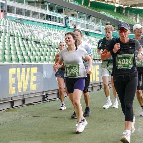 13.09.2026 - 21. swb-Marathon Bremen Michael Burmester http://msf.ph/oto/10420922 13.09.2026 13:21:54 Laufen im Stadion 128, 160, 211, 258, 343, 351, 423, 441, 571, 601, 620, 704, 782, 851, 1060, 1094, 1157, 1158, 1177, 1259, 1316, 1344, 1417, 1439, 1518, 1657, 1669, 1676, 1729, 1808, 1846, 1883, 2139, 2201, 2258, 2278, 2290, 2394, 2395, 2414, 2417, 2437, 2504, 2519, 2551, 2588, 2619, 2632, 2652, 2660, 2685, 2711, 2736, 2793, 2828, 2886, 2954, 2964, 2995, 3004, 3010, 3022, 3034, 3070, 3074, 3102, 3144, 3225, 3351, 3682, 3784, 4020, 4431, 4584, 1506 meine-sportfotos.de