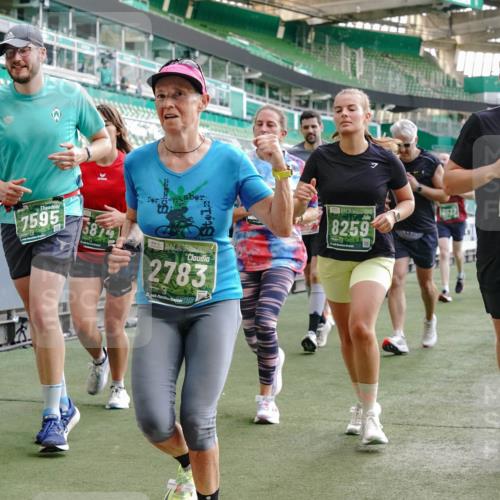 13.09.2026 - 21. swb-Marathon Bremen Michael Burmester http://msf.ph/oto/10421564 13.09.2026 13:22:19 Laufen im Stadion 128, 160, 211, 258, 343, 351, 423, 441, 571, 601, 609, 620, 782, 851, 892, 1060, 1094, 1157, 1158, 1177, 1178, 1259, 1316, 1344, 1417, 1518, 1657, 1669, 1676, 1691, 1729, 1746, 1788, 1808, 1883, 2201, 2213, 2258, 2290, 2414, 2433, 2475, 2504, 2526, 2551, 2619, 2632, 2652, 2660, 2685, 2711, 2736, 2828, 2954, 2964, 2995, 3010, 3022, 3034, 3070, 3074, 3144, 3225, 3252, 3347, 3351, 3505, 3530, 3682, 3784, 4020, 4054, 4231, 4406, 4407, 4431, 4584, 1506 meine-sportfotos.de
