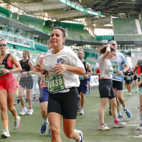 13.09.2026 - 21. swb-Marathon Bremen Michael Burmester http://msf.ph/oto/10422841 13.09.2026 13:23:02 Laufen im Stadion 128, 160, 211, 258, 324, 343, 351, 434, 533, 571, 609, 708, 851, 892, 1060, 1157, 1178, 1259, 1331, 1344, 1417, 1597, 1598, 1657, 1669, 1691, 1729, 1746, 1788, 1883, 2213, 2286, 2290, 2433, 2445, 2475, 2495, 2504, 2526, 2619, 2632, 2652, 2660, 2685, 2711, 2768, 2936, 2964, 2968, 2995, 3022, 3034, 3225, 3252, 3282, 3288, 3292, 3347, 3351, 3364, 3395, 3423, 3447, 3505, 3530, 3559, 3682, 3727, 3770, 3784, 3819, 4020, 4054, 4231, 4406, 4407, 4431, 4466, 4467, 4584, 1506 meine-sportfotos.de
