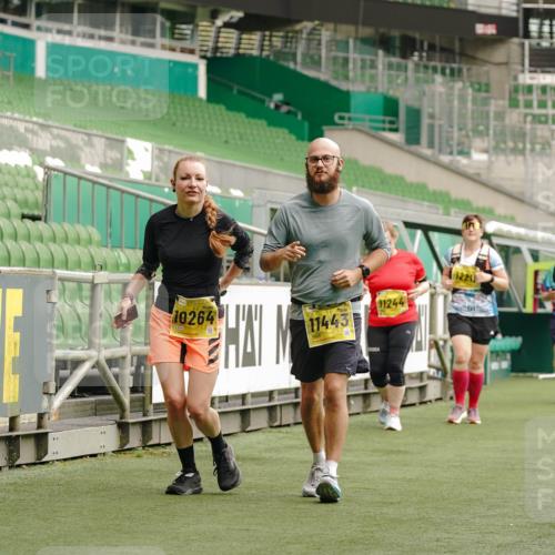 13.09.2026 - 21. swb-Marathon Bremen Michael Burmester http://msf.ph/oto/10426332 13.09.2026 10:49:37 Laufen im Stadion 10407, 10413, 10440, 10627, 10667, 10710, 10754, 10789, 11031, 11254, 11266, 11541, 11712, 11780, 11851, 11942, 11980, 12440, 12471, 12542, 12561, 10137, 10161, 10194, 10202, 10242, 10344, 10430, 10472, 10524, 10535, 10568, 10600, 10651, 10895, 10933, 10970, 10979, 11050, 11181, 11200, 11244, 11296, 11309, 11367, 11457, 11529, 11530, 11546, 11573, 11574, 11579, 11639, 11675, 11709, 11760, 11821, 12089, 12153, 12177, 12178 meine-sportfotos.de