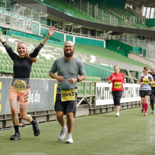 13.09.2026 - 21. swb-Marathon Bremen Michael Burmester http://msf.ph/oto/10426386 13.09.2026 10:49:40 Laufen im Stadion 10407, 10413, 10440, 10627, 10667, 10710, 10754, 10789, 11031, 11254, 11266, 11541, 11712, 11780, 11851, 11942, 11980, 12440, 12471, 12542, 12561, 10137, 10161, 10194, 10202, 10242, 10344, 10430, 10472, 10524, 10535, 10568, 10600, 10651, 10895, 10933, 10970, 10979, 11050, 11181, 11200, 11244, 11296, 11309, 11367, 11457, 11529, 11530, 11546, 11573, 11574, 11579, 11639, 11675, 11709, 11760, 11821, 12089, 12153, 12177, 12178 meine-sportfotos.de
