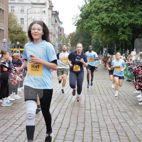 13.09.2026 - Kiel Lauf Yannick Fuchs http://msf.ph/oto/10426612 13.09.2026 09:47:13 Ziel 1235, 2587, 5167, 7461, 8524, 9091, 10076, 10224, 10555, 10742, 10744, 11862, 11964, 12635, 1402, 2527, 2718, 2759, 2779, 3808, 4087, 4238, 4906, 4940, 5217, 5351, 6048, 6074, 6207, 6638, 7190, 7213, 7446, 7675, 7731, 7754, 7921, 8409, 8887, 8994, 9141, 9385, 10009, 10301, 10322, 10731, 12622, 12725, 544, 591, 1324, 2870, 3192, 3629, 4480, 5517, 6072, 6575, 6639, 6696, 8231, 8540, 8777, 9634, 9936, 10789, 288, 3033, 3035, 4906, 6048, 6355, 6577, 7439, 10177 meine-sportfotos.de
