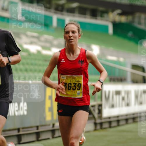 13.09.2026 - 21. swb-Marathon Bremen Michael Burmester http://msf.ph/oto/10427286 13.09.2026 10:18:02 Laufen im Stadion 12457, 12458, 13504, 13510, 13517, 13522, 13533, 13536, 13542, 13543, 13554, 13561, 13564, 13569, 13571, 13572, 13573, 13576, 13579, 13582, 13602, 13603, 13604, 13623, 13630, 13632, 13638, 13639, 13643, 13525 meine-sportfotos.de