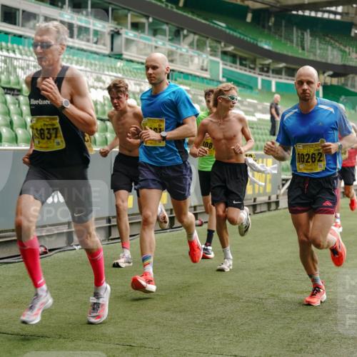13.09.2026 - 21. swb-Marathon Bremen Michael Burmester http://msf.ph/oto/10428923 13.09.2026 10:19:58 Laufen im Stadion 10261, 10262, 10366, 10475, 10818, 10994, 11067, 11068, 11176, 11197, 11418, 11481, 11512, 11652, 11964, 12324, 12358, 12413, 12540, 13505, 13530, 13533, 13534, 13540, 13541, 13550, 13558, 13560, 13564, 13573, 13581, 13583, 13588, 13590, 13599, 13601, 13605, 13610, 13618, 13619, 13622, 13632, 13633, 13637, 13638, 13639, 10597, 12272, 13501, 13510, 13515, 13517, 13542, 13547, 13567, 13579, 13623, 13627, 13635 meine-sportfotos.de