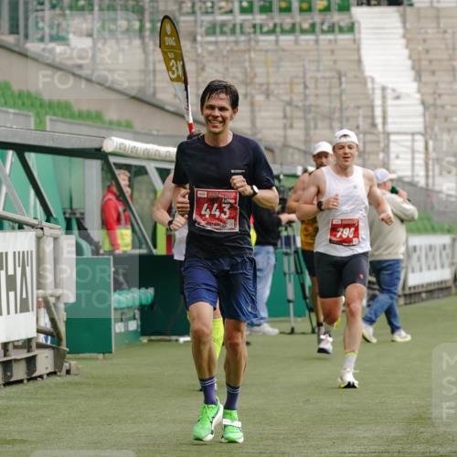 13.09.2026 - 21. swb-Marathon Bremen Michael Burmester http://msf.ph/oto/10429639 13.09.2026 12:12:14 Laufen im Stadion 317, 443, 614, 796, 1651, 692 meine-sportfotos.de