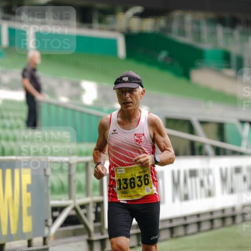 13.09.2026 - 21. swb-Marathon Bremen Michael Burmester http://msf.ph/oto/10430066 13.09.2026 10:21:19 Laufen im Stadion 10244, 10261, 10262, 10818, 10961, 10994, 11067, 11068, 11083, 11142, 11176, 11197, 11418, 11512, 11619, 11738, 11854, 11916, 11964, 12289, 12324, 12358, 12413, 12456, 12513, 12520, 12540, 13505, 13514, 13535, 13540, 13548, 13551, 13558, 13560, 13568, 13575, 13583, 13588, 13590, 13601, 13605, 13606, 13608, 13610, 13619, 13633, 13636, 13637, 12457, 12458, 13504, 13510, 13517, 13522, 13533, 13536, 13542, 13543, 13554, 13561, 13564, 13579, 13623 meine-sportfotos.de