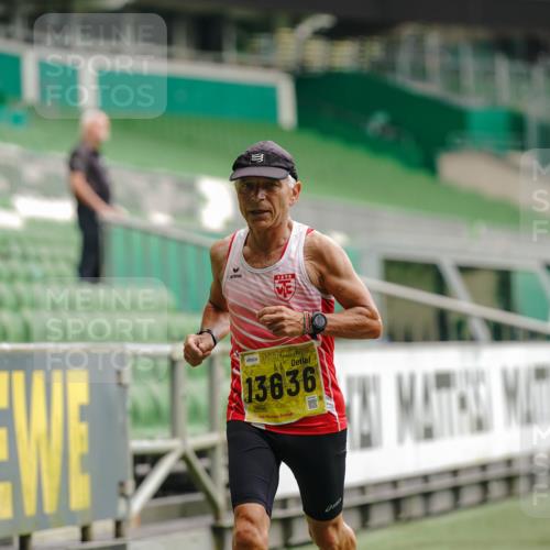 13.09.2026 - 21. swb-Marathon Bremen Michael Burmester http://msf.ph/oto/10430080 13.09.2026 10:21:20 Laufen im Stadion 10244, 10261, 10262, 10818, 10961, 10994, 11067, 11068, 11083, 11142, 11176, 11197, 11418, 11512, 11619, 11738, 11854, 11916, 11964, 12289, 12324, 12358, 12413, 12456, 12513, 12520, 12540, 13505, 13514, 13535, 13540, 13548, 13551, 13558, 13559, 13560, 13568, 13575, 13583, 13588, 13590, 13601, 13605, 13606, 13608, 13610, 13619, 13633, 13636, 13637, 12457, 12458, 13504, 13510, 13517, 13522, 13533, 13536, 13542, 13543, 13554, 13561, 13564, 13579, 13623 meine-sportfotos.de