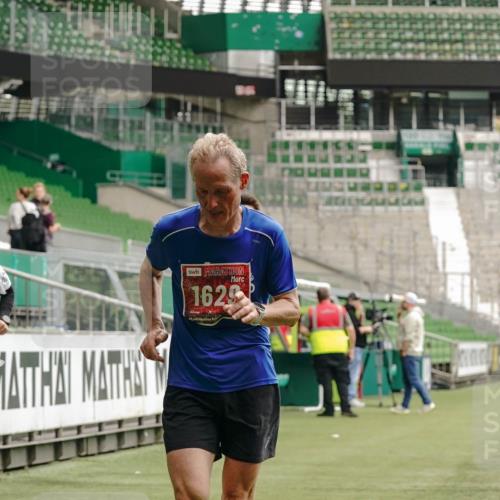 13.09.2026 - 21. swb-Marathon Bremen Michael Burmester http://msf.ph/oto/10433400 13.09.2026 12:32:39 Laufen im Stadion 417, 482, 573, 668, 943, 1020, 1126, 1507, 1606, 1629, 2100, 4474, 6507, 7741, 8044, 314, 358, 520, 547, 553, 574, 649, 719, 858, 934, 959, 1253, 1256, 1391, 1428, 1525, 1783 meine-sportfotos.de
