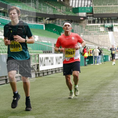 13.09.2026 - 21. swb-Marathon Bremen Michael Burmester http://msf.ph/oto/10434741 13.09.2026 10:25:12 Laufen im Stadion 10143, 10312, 10328, 10336, 10337, 10342, 10346, 10358, 10398, 10456, 10520, 10593, 10618, 10632, 10742, 10775, 10816, 10861, 10972, 10987, 10988, 11019, 11020, 11042, 11088, 11108, 11143, 11201, 11265, 11312, 11373, 11375, 11426, 11442, 11447, 11468, 11527, 11607, 11615, 11628, 11630, 11632, 11704, 11758, 11779, 11826, 11895, 11903, 11948, 12144, 12246, 12281, 12406, 12426, 12442, 12468, 12469, 12477, 12525, 13520, 13566, 13580, 13585, 13586 meine-sportfotos.de