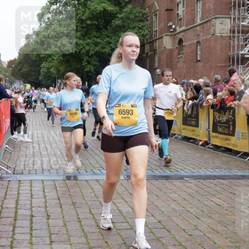 13.09.2026 - Kiel Lauf Yannick Fuchs http://msf.ph/oto/10435207 13.09.2026 09:49:01 Ziel 830, 3418, 3550, 4961, 6065, 6278, 6362, 6593, 8844, 9058, 9219, 9691, 10092, 11294, 11322, 11411, 12614, 467, 1493, 1547, 1731, 2047, 2663, 2676, 2852, 2921, 2943, 3509, 3843, 5784, 6239, 7071, 7432, 7448, 8455, 9209, 9382, 9384, 10458, 10729, 10961, 11054, 11184, 11694, 221, 784, 1559, 1561, 2115, 2592, 2626, 2731, 2867, 2919, 3094, 4173, 4333, 4364, 4962, 8617, 8681, 8869, 9001, 10150, 11190, 11989, 11990, 1493, 4350, 5185, 5518 meine-sportfotos.de