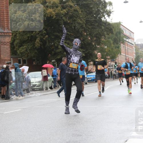 13.09.2026 - Kiel Lauf Markus Tischler http://msf.ph/oto/10436483 13.09.2026 11:41:52 Fleethörn  meine-sportfotos.de