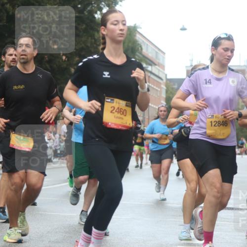 13.09.2026 - Kiel Lauf Markus Tischler http://msf.ph/oto/10438450 13.09.2026 11:50:53 Fleethörn 4448, 39, 2460, 14, 109, 12846 meine-sportfotos.de