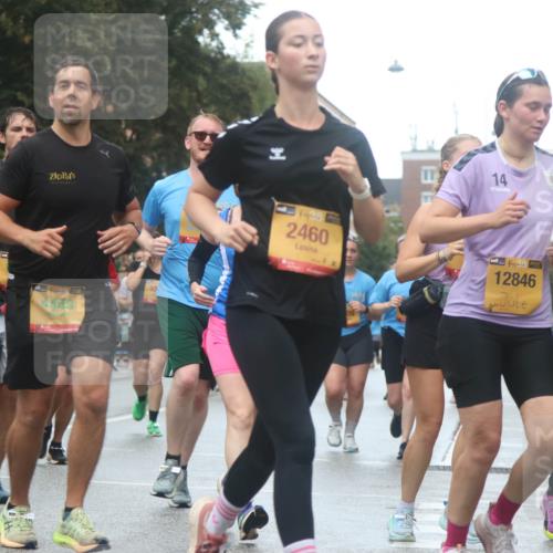 13.09.2026 - Kiel Lauf Markus Tischler http://msf.ph/oto/10438453 13.09.2026 11:50:53 Fleethörn 14, 1, 39, 2460, 4, 38, 12846 meine-sportfotos.de