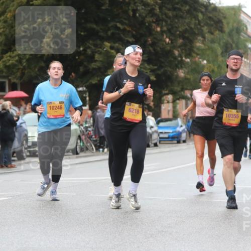 13.09.2026 - Kiel Lauf Markus Tischler http://msf.ph/oto/10438671 13.09.2026 11:52:00 Fleethörn 10246, 39, 6218, 10355 meine-sportfotos.de