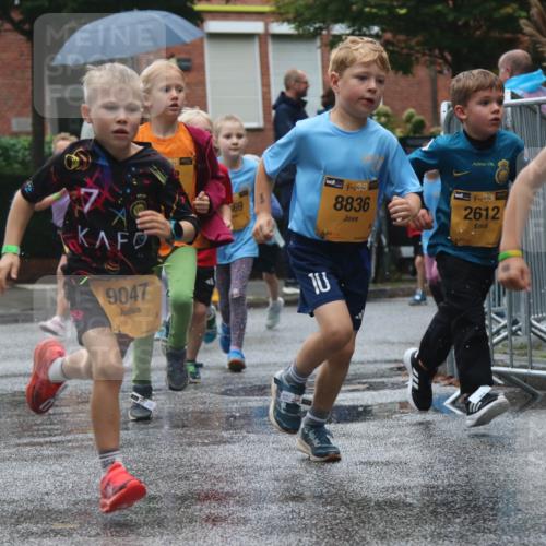 13.09.2026 - Kiel Lauf Markus Tischler http://msf.ph/oto/10441634 13.09.2026 08:33:03 Fleethörn 9047, 69, 10, 38, 8836, 33, 2612 meine-sportfotos.de