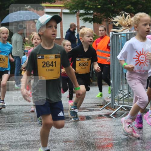 13.09.2026 - Kiel Lauf Markus Tischler http://msf.ph/oto/10441702 13.09.2026 08:33:11 Fleethörn 126, 38, 2641, 38, 8528, 38, 0023 meine-sportfotos.de
