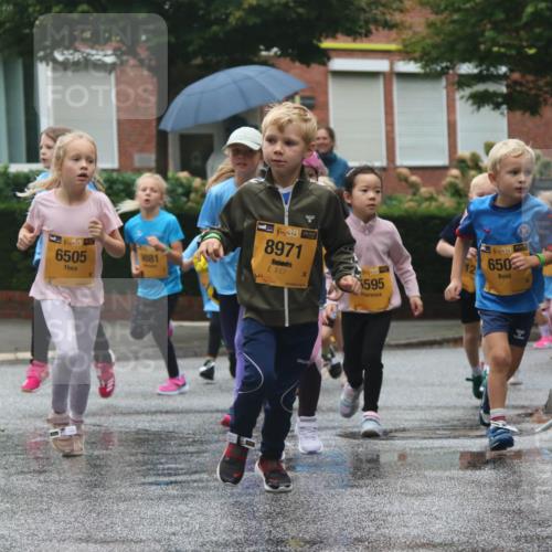 13.09.2026 - Kiel Lauf Markus Tischler http://msf.ph/oto/10441750 13.09.2026 08:33:18 Fleethörn 1, 38, 6505, 9881, 8, 8971, 595, 1138, 650 meine-sportfotos.de