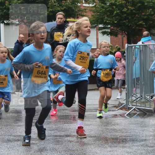 13.09.2026 - Kiel Lauf Markus Tischler http://msf.ph/oto/10441878 13.09.2026 08:33:33 Fleethörn 4990, 48, 9159, 4, 6448, 39, 12484, 2917, 10935, 12400 meine-sportfotos.de
