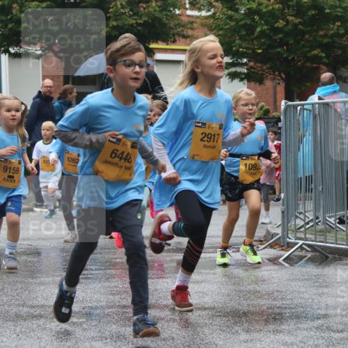 13.09.2026 - Kiel Lauf Markus Tischler http://msf.ph/oto/10441883 13.09.2026 08:33:33 Fleethörn 21, 0, 39, 9159, 9262, 833, 6446, 4, 38, 2917, 10935 meine-sportfotos.de