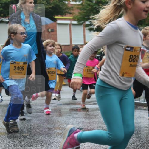 13.09.2026 - Kiel Lauf Markus Tischler http://msf.ph/oto/10441959 13.09.2026 08:33:46 Fleethörn 39, 9950, 4, 38, 2495, 1085, 1124, 881, 56 meine-sportfotos.de