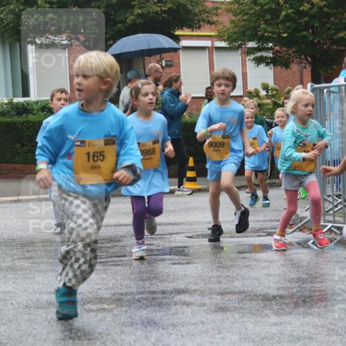 13.09.2026 - Kiel Lauf Markus Tischler http://msf.ph/oto/10442019 13.09.2026 08:33:50 Fleethörn 1152, 165, 38, 1988, 41, 38, 9009, 1516 meine-sportfotos.de