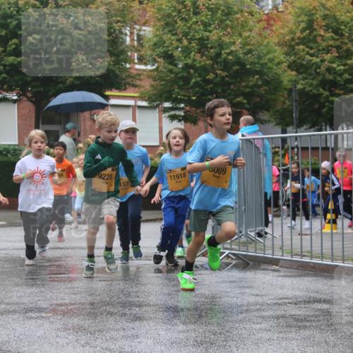 13.09.2026 - Kiel Lauf Markus Tischler http://msf.ph/oto/10442050 13.09.2026 08:33:54 Fleethörn 9228, 39, 6741, 343, 337, 11918, 8009 meine-sportfotos.de