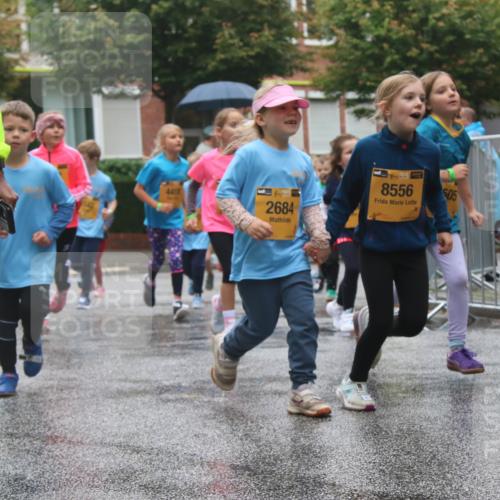 13.09.2026 - Kiel Lauf Markus Tischler http://msf.ph/oto/10442115 13.09.2026 08:33:59 Fleethörn 4418, 39, 2684, 1, 387, 8556, 505 meine-sportfotos.de