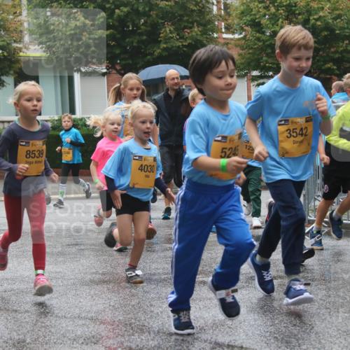 13.09.2026 - Kiel Lauf Markus Tischler http://msf.ph/oto/10442142 13.09.2026 08:34:02 Fleethörn 38, 8539, 4030, 5245, 123, 1, 38, 3542, 3144, 38 meine-sportfotos.de