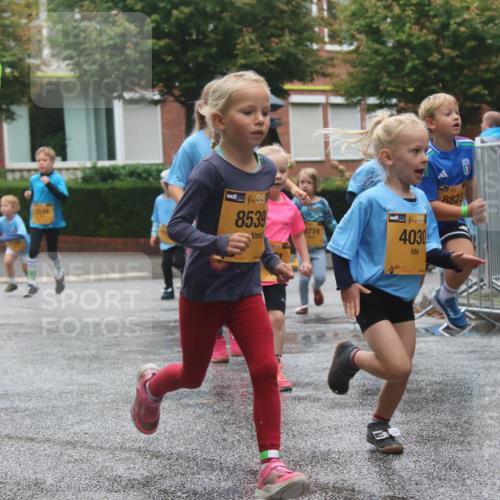 13.09.2026 - Kiel Lauf Markus Tischler http://msf.ph/oto/10442153 13.09.2026 08:34:02 Fleethörn 3144, 38, 8539, 719, 48, 4030, 8823, 38, 2619 meine-sportfotos.de