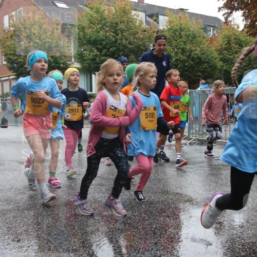 13.09.2026 - Kiel Lauf Markus Tischler http://msf.ph/oto/10442351 13.09.2026 08:34:21 Fleethörn 7383, 9023, 1, 39, 2911, 5181, 690, 3746, 37 meine-sportfotos.de